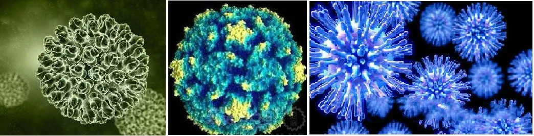紫外杀菌灯在防护新型冠状病毒传播中的应用